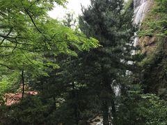-房干生态旅游风景区