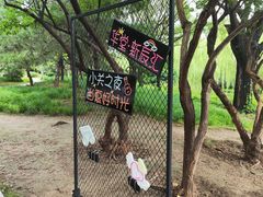 -元大都城垣遗址公园