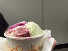 -Dip in Gelato(富民路店)
