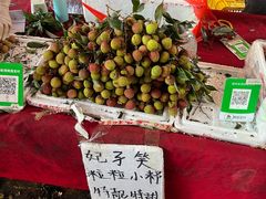 -细村农贸综合市场