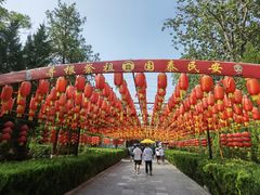 -大槐树寻根祭祖园