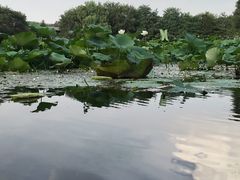 -二一九公园