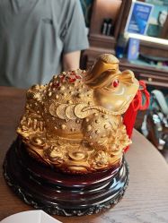 -贝勒爷专业男发