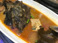 海参斑-福泉海码头(六里山店)