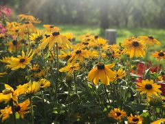 -长春公园(普阳街道)