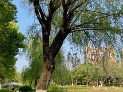 -堤角公园