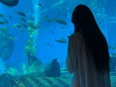 -OSSIANO奥西亚诺海底餐厅