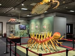 -国家自然博物馆