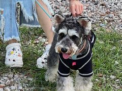 -大象营野Life营地·钓虾(坦尾店)