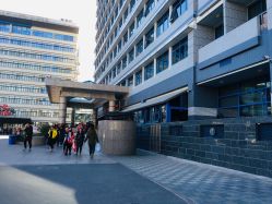 -首都医科大学附属北京儿童医院