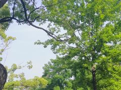 -东湖落雁景区