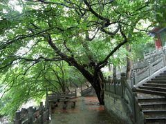 -青檀寺景区