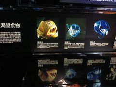 -同济大学四平路校区深海探索馆