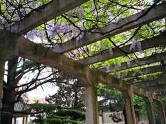 -复旦大学附属华山医院(江苏路分部)