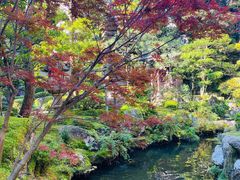 -城崎温泉 外七汤