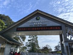 -中国大熊猫保护研究中心雅安碧峰峡基地