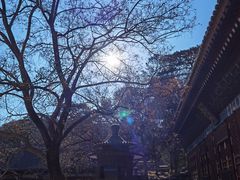 -香山公园