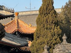 -北京艺术博物馆(万寿寺)