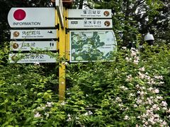 -翠湖国家城市湿地公园