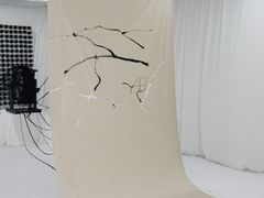 -外滩8号 whisky bar(金延大厦店)