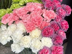 -FEI FEI FLOWER鲜花店·气球派对·宝宝宴布置(虹口德必运动Loft店)