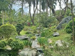 -东莞植物园