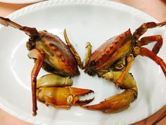 -莲花公园煎蟹(总店)