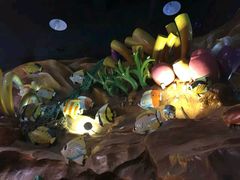 -芜湖新华联大白鲸海洋公园