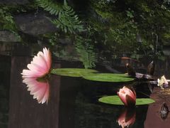 -望江楼公园