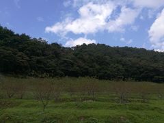 -广州市石门国家森林公园