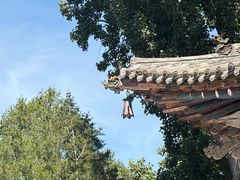 -晋祠公园