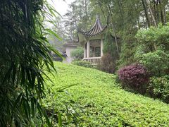 -井冈山风景名胜区