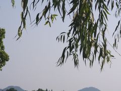 -西湖天地