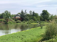 -桤木河湿地公园