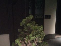 -大妙火锅·非物质文化遗产(东湖公园店)