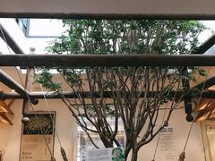 -酸喜·三度酸·贵州味