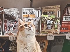 -听TA说宠咖·宠物生活馆(天韵水岸店)