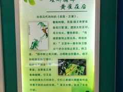 -上海昆虫博物馆