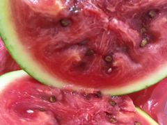 -全而廉(靖宇中路店)