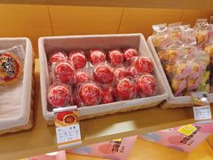 -GANSO元祖食品(白下店)