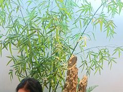 -小菜园新徽菜(无锡宜家荟聚中心店)