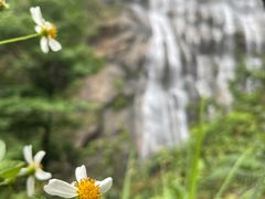 -千泷沟大瀑布旅游区