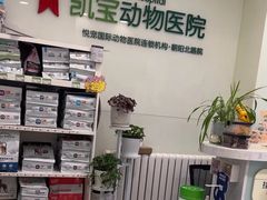 -悦宠凯宝动物医院·牙科·皮肤科(朝阳北路店)