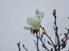-梅州雁山湖国际花园度假区