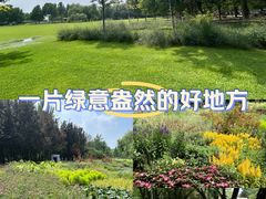 -海淀公园