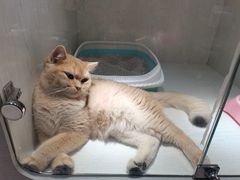 -乐宠宠物店(世纪金源店)