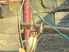 -杭州野生动物世界
