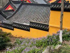 -九华山公园