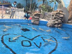 -海合安成都极地海洋公园