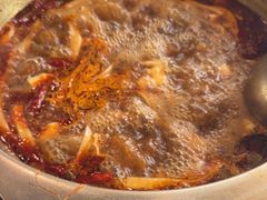 -金鼎雪山牦牛杂火锅(理县总店)